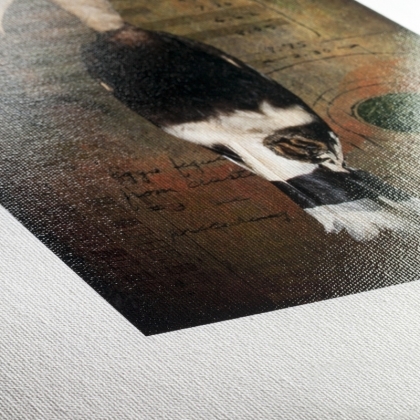 Leonardo Canvas 390 24" x 12 m