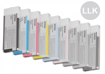 Light Light Black ink for SP4880 - T6069