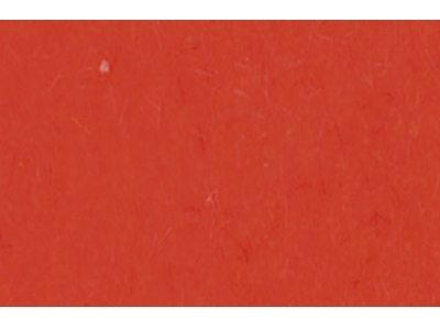 Flock - Orange 49,5 x 34,5 cm