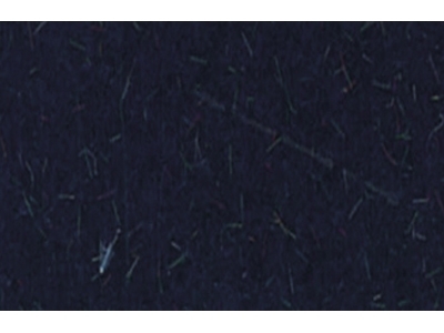 Flock - Navy Blue 49,5 x 34,5 cm