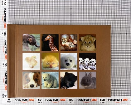 MyPhotoBook 4x6 5 mm AnimaLS