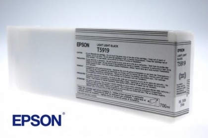 Light light black ink for Epson Stylos Pro 11880 - T591900