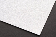 Digifort - P300 - 13009 Stucco