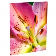 Aluminium Sheetstock - White, Matte, One-sided, 1200 x 600 x 1.14 mm