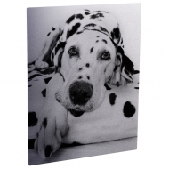 Aluminium Sheetstock - Clear, Matte, One-sided, 1200 x 600 x 1.14 mm