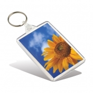 ADV Classic Key Fob - with Clear Connector and Ring (insert size 70.5 x 45 mm) (box-250)