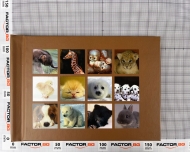 MyPhotoBook 4x6 5 mm AnimaLS