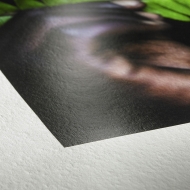 Hahnemuehle Photo Rag® Pearl 320