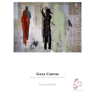 Hahnemuehle Goya Canvas 340