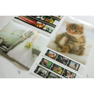 Translucent film 15x20/ 6"x8" for 400 photos - for KSF-10R