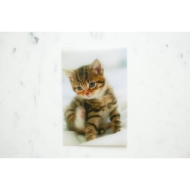 Translucent film 15x20/ 6"x8" for 400 photos - for KSF-10R
