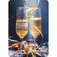 Metallic paper 15x20/ 6"x8" for 400 photos - for KSF-10R