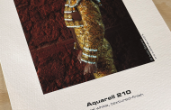 Aquarell 210